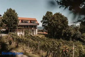 Weingut Assigal - Image 1