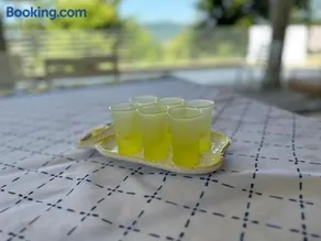 Peaceful Country Living at Apartments at Villa Clara - Image 1