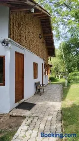 Mesteceni Glamping - Image 5