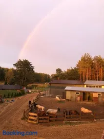 Quatro Osrodek Jezdziecki - Gospodarstwo Agroturystyczne - Image 4
