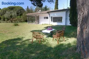 ROIG - Image 2