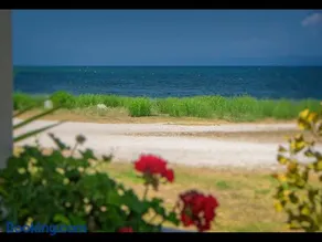 Sea La Vie - Image 3
