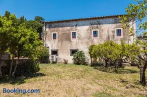 Villa Franca La Casina - Image 2