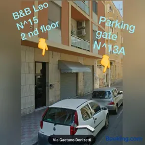 B&B Leo - Image 2