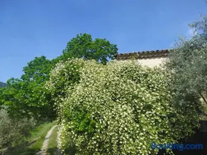 La Maisonnette Veyronne - Gîte neuf - Image 2
