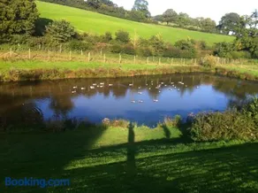 East Dunster Deer Farm B&B - Image 2