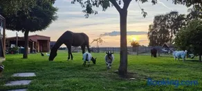 Vacation on the farm - Image 3