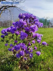 Cà del Poz - Image 3