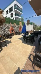 Birds inn - Image 3