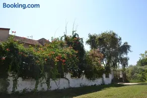 Beach House Into the Green! - Image 3