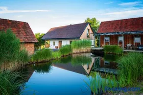 Ferienhaus mit privaten Schwimmteich und Sauna - Image 1