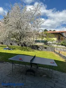 Etna sotto il ciliegio - Image 2