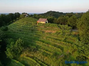 Adorable guesthouse in the middle of vineyards - Image 1