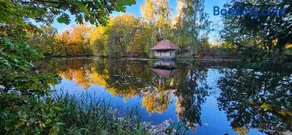 Ferienwohnung am Wald - Image 2
