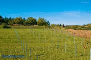 Kispince Wellness Borbirtok - Image 4