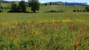 Agriturismo cavallin del papa - Image 2