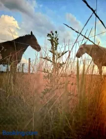Le Nid des Prairies - Image 3