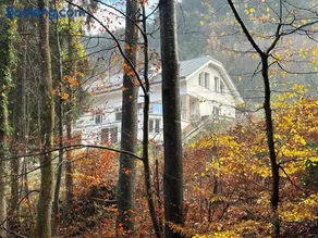 Ruhepol in den Voralpen - Image 1