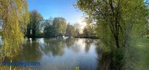 Manor Fisheries - Image 5