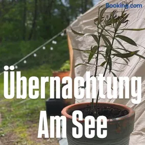Glamping Zelt - Image 5