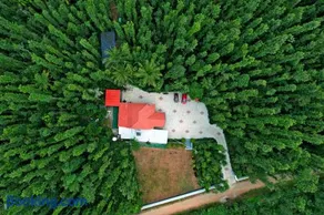 Hazel Retreat - Full Home & Coffee Estate - Image 3