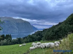 Peaceful Fjord Hideaway close to Geiranger, Trollstigen and Ålesund - Image 4