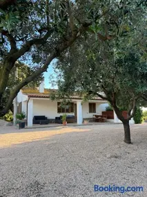 Casa vacanze Capalbio - Fiordaliso - Image 1