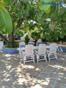 La Noguera de Baena - Image 2