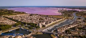 LE PALMIER Aigues-Mortes Petite Camargue - Image 3