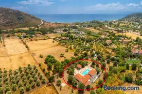 Villa Pomegranate Tree - Image 3