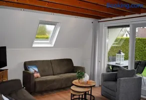 Torenvalk I Genieten nabij Bos - Image 1