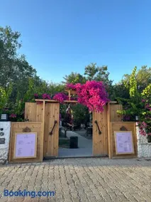Mavi Lotus Pansiyon & Restorant - Image 2