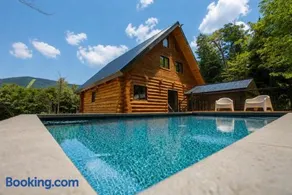 The ANIMAL - PARTY TIME - POOL SPA AND MOUNTAIN - Image 5