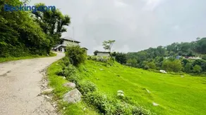 North Sky Stays Bir - Image 3