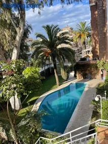 Las Palmeras - Image 1