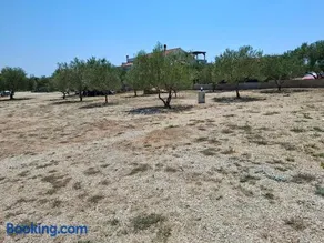 Camp Oblica - parcela - empty plot - Image 1