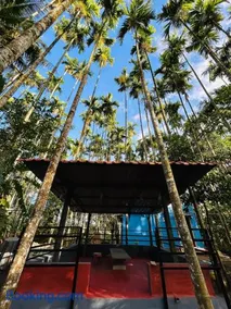 Adventurous Wild cottages - Image 3