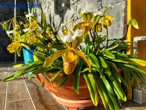 Zeza´s house - Image 4