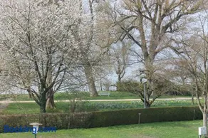 Nahe am See - Image 1