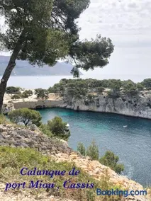 L'Eden sous l'olivier - Image 3