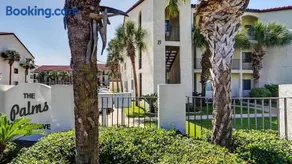 Palms C8 - Image 3