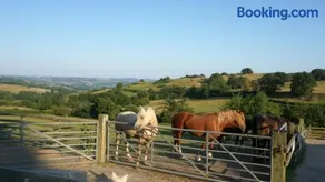 The Shire Luxury Converted Horse Lorry with private hot tub Cyfie Farm - Image 4
