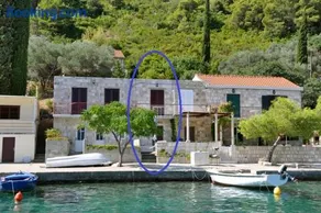 Sunny Apartment Octopus - Image 1