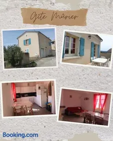 Mûrier - Image 1