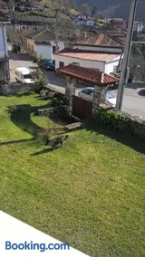 Alborada De San Juan - Image 5