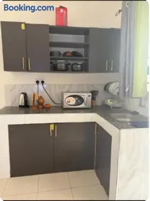NewNest - Image 3