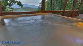 Moose Mountain Lodge - Ellijay, GA - Image 3