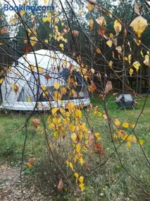 Glamping Drzwi Do Lasu - nocleg w Puszczy Knyszyńskiej - Image 1