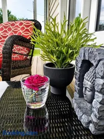 Chez nous ailleurs - Image 3