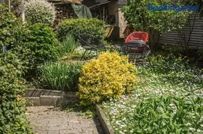 Gemütliches 2 Zimmer Apartment mit Garten, Grillmöglichkeit und Stauraumfläche - Image 1